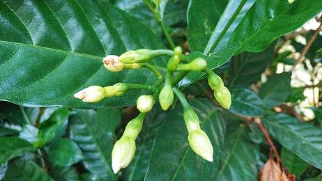 部分开发者认为不需要PS5 Pro：PS5性能还未被充分利用