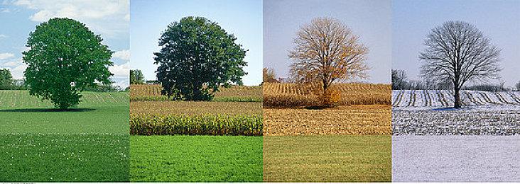 由于芯片短缺 索尼下调PS5产量预期 更多玩家转向购买PC版游戏