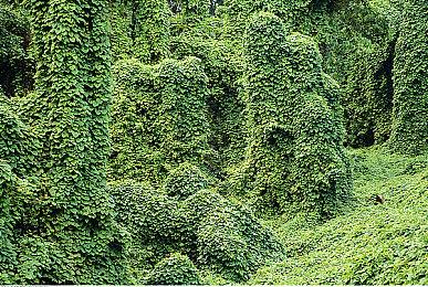 《暗喻幻想：ReFantazio》荣誉宣传片现已发布！